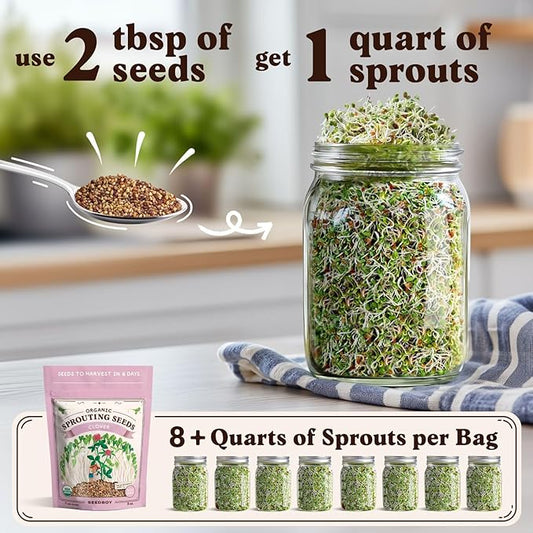Seedboy Organic Non-GMO Clover Seeds for Sprouting - USA Grown Microgreens Sprouting Seeds - 8 oz Bag Makes 8 Quarts / 24 Servings (Red Clover)