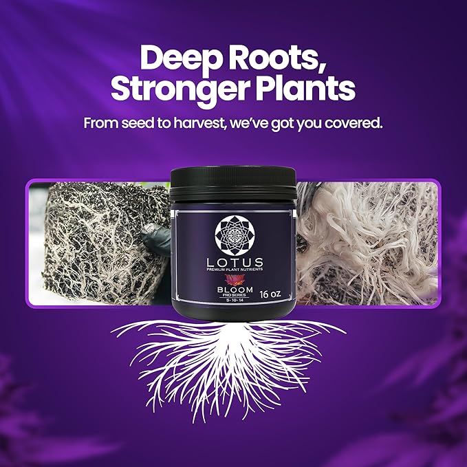 Bloom Pro Series - Hydroponic Plant Nutrients and Fertilizer, Water Soluble Plant Food, for Coco Coir Hydro and Soil, Enhances Flowering and Fruiting, Indoor and Outdoor Grows (16oz)