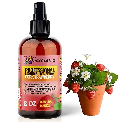 𝐁𝐄𝐒𝐓𝐒𝐄𝐋𝐋𝐄𝐑 Liquid Silica Boost Fertilizer and Supplement Spray for Strawberry Plants - Premium Ready-to-Use Liquid Silicon Plant Superfood Mist for Indoor & Outdoor Strawberries - 8oz