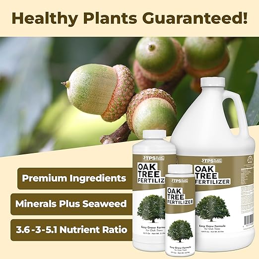 Oak Tree Fertilizer, Complete Liquid Oak Tree Plant Food, 8 oz (250mL)