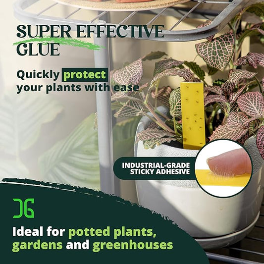 Catchmaster Dual Action Plant Labels 100 PK, Sticky Insect Trap Plant Stakes, for Live Plants Indoor Outdoor, Fruit Fly Trap, Glue Traps for Home, Farm, Garden, Hydroponics & Greenhouse, Pest Control