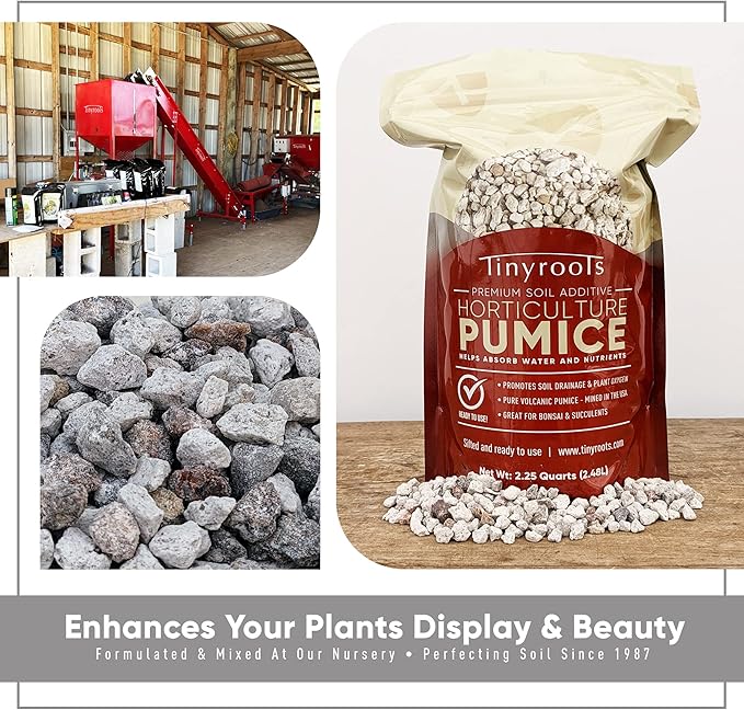Bonsai Outlet Horticultural Pumice for Plants - Tinyroots 2.25 Quarts Soil Aggregate for Succulents, Cactus and Bonsai Plants