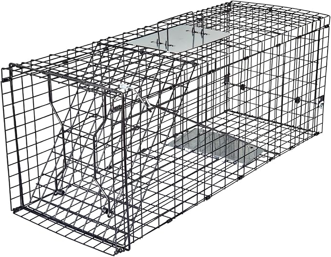 Live Humane Animal Trap, 32" x 11" x 12" Heavy Duty Humane Animal Cage Trap Catch and Release, Foldable Cat Trap for Stray Cats, Raccoons, Groundhogs, Opossums, Armadillos, and Similar-Sized Animals