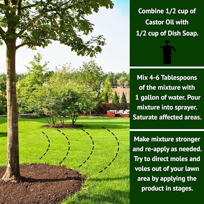 Nature's MACE Mole and Vole Mace, 5 Gallon, 100% Pure Castor Oil, Mole Deterrent for Yard, Lawns, Mole Repellent, Stop Tunneling, Mole Remover Treatment, Castor Oil Repellent, People, Pet, Plant Safe