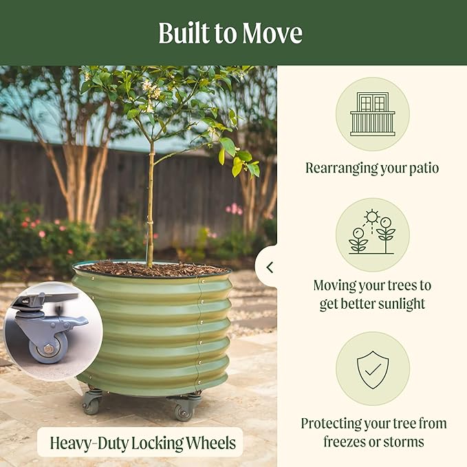 Rolling Metal Citrus Tree Planter, Self-Watering Round Planter Box for Porch Patio & Backyard, Raised Garden Bed with Wheels for Growing Trees Tomatoes Vegetables and Flowers, Single Pack-Pearl White