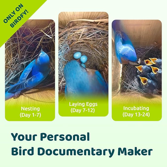 Birdfy Smart Bird House with Camera | Lifetime AI Identify | Auto-Record Nesting Stages & Alerts | Remote Control | Night Vision | Battery & Solar Outdoor-Ready, Ideal For Nesting Watching Enthusiasts