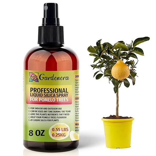 𝐒𝐔𝐏𝐄𝐑𝐈𝐎𝐑 Liquid Silica Boost Fertilizer and Supplement Spray for Pomelo Trees – Pre-Mixed, Ready-to-Use Liquid Silicon Plant Superfood Mist for Indoor & Outdoor Plants – 8oz
