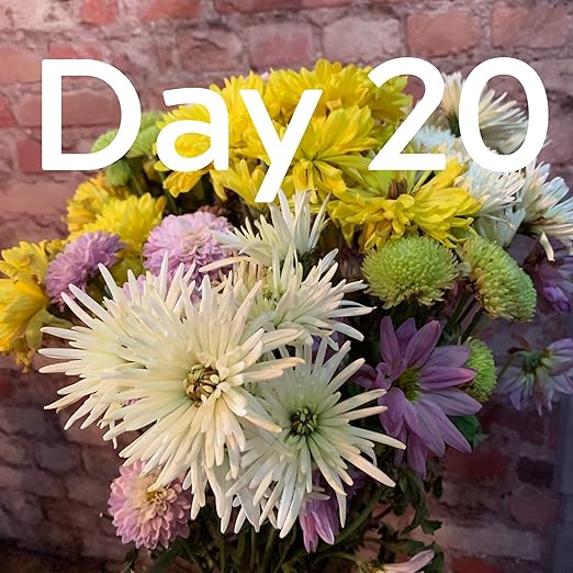 Flower Boosters Fresh Cut Flower Food – Longer-Lasting Blooms & Extended Vase Life – Flowers Last Up to 20 Days – 12.5 oz Value Size