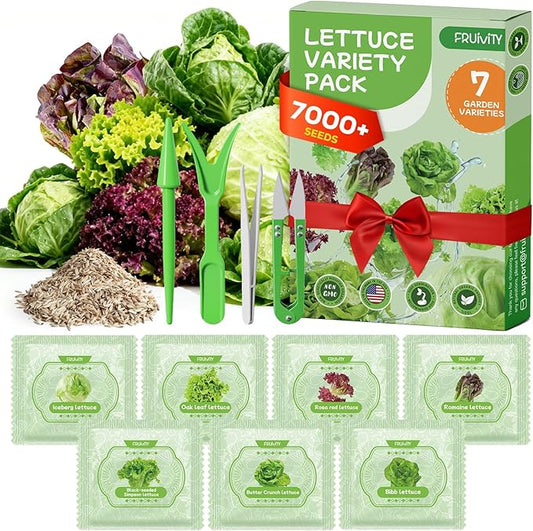 7000+ Organic Lettuce Seeds Collection - 7 Variety Heirloom Lettuce Seeds Mix Iceberg, Romaine, Bibb, Butter Crunch, Black-Seeded Simpson & More Non-GMO, Heirloom for Hydroponics or Garden