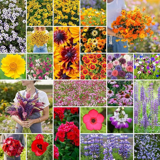 Eden Brothers Southwest Wildflower Mixed Seeds for Planting, 5 lb, 2,400,000+ Seeds with Cornflower, Blanket Flower | Attracts Pollinators, Plant in Spring or Fall, Zones 3, 4, 5, 6, 7, 8, 9, 10