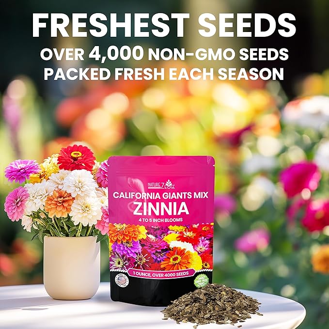 NatureZ Edge Zinnia Seeds for 2025 Planting Outdoors, Over 4000 Flower Seeds, 1 Oz, Non GMO Made in USA, Bulk Semillas De Flores para Sembrar, California Giants, Easy to Grow Zinnia Seed Mix