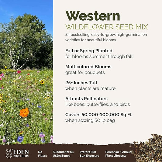Eden Brothers Western Wildflower Mixed Seeds for Planting, 50 lb, 24,000,000+ Seeds with Cornflower, Blanket Flower | Attracts Pollinators, Plant in Spring or Fall, Zones 3, 4, 5, 6, 7, 8, 9, 10