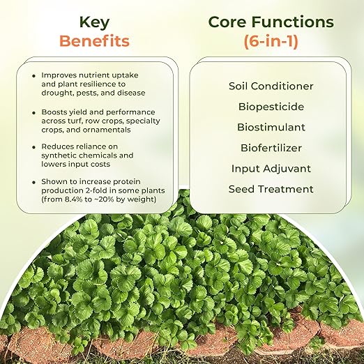 Complete Plant Care Liquid Soil Conditioner – Improve Lawn & Garden Health - Versatile Soil Conditioner for Lawns & Gardens - Simple Lawn and Garden Solutions - 2 Qt.