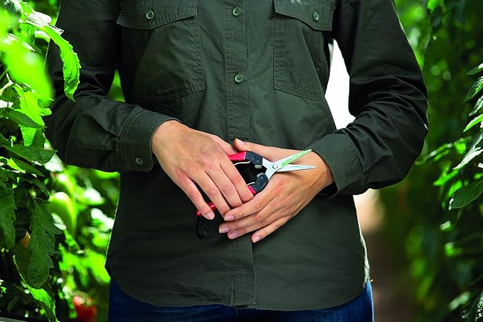 Felco F322 Pruning Snips – 9.84" Garden Clippers with Curved Blade & Rounded Tip | Pruning Shears for Gardening | Garden Snips and Pruners with Carbon Steel Blade, Sap Groove