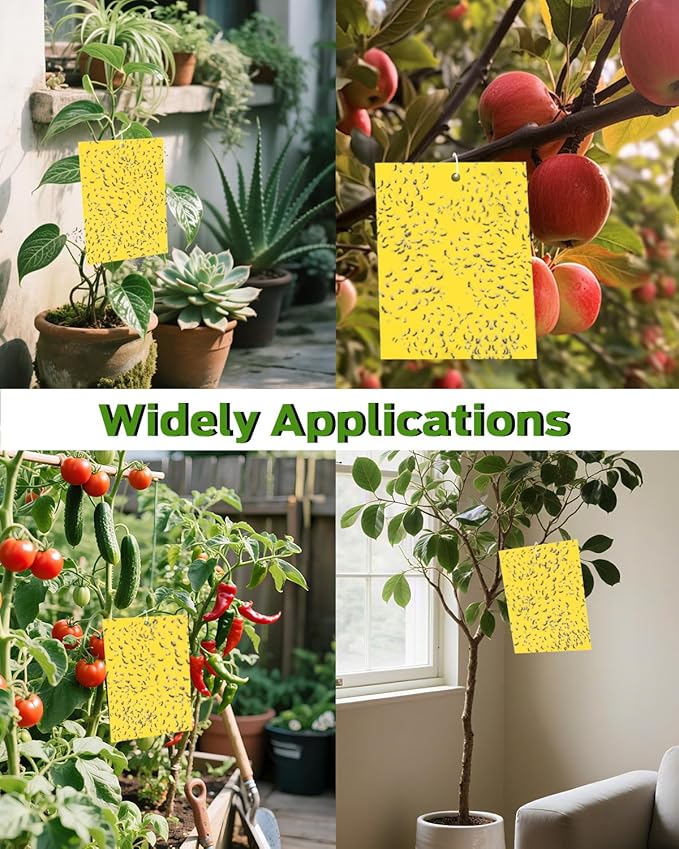 Gnat Sticky Traps for Plants, Plant Bug Sticky Traps Indoor/Outdoor, with Gardening Gloves for Women, 25PCS, Non-Toxic, Odorless, Harmless to Vegetables, Fruits, Plants