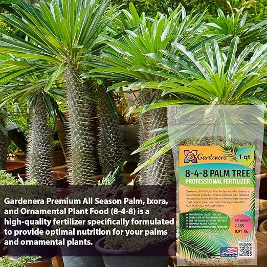Premium 8-4-8 Professional Palm Tree Fertilizer Plant Food |Indoor Potted Plants and Outdoor Landscape Palm Trees | Quick-Release Nitrogen Fertilizer and Continuous Feeding [12 OZ]