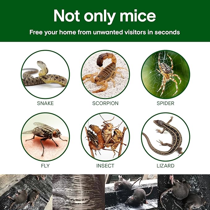 ELEGENZO Sticky Mouse Trap Mouse Traps Indoor for Home Rat Traps That Work for Trapping Snakes Rats Spiders Roaches & Other Rodents, 3 Transparent
