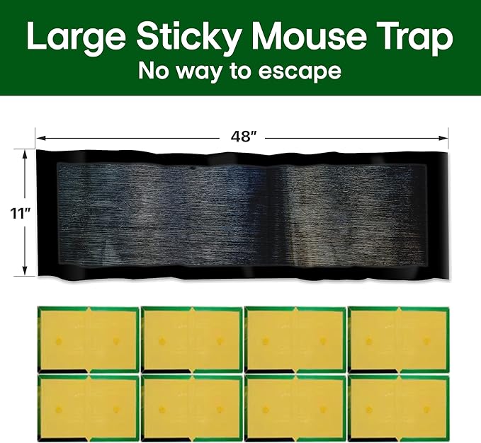 ELEGENZO Sticky Mouse Trap Mouse Traps Indoor for Home Rat Traps That Work for Trapping Snakes Rats Spiders Roaches & Other Rodents, 3 Transparent