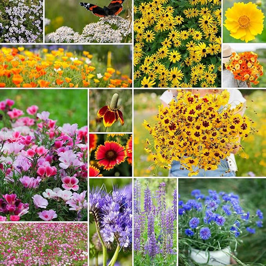 Eden Brothers Bird & Butterfly Wildflower Mixed Seeds for Planting, 50 lb, 24,000,000+ Seeds with Cosmos, Indian Blanket | Attracts Pollinators, Plant in Spring or Fall, Zones 3, 4, 5, 6, 7, 8, 9, 10