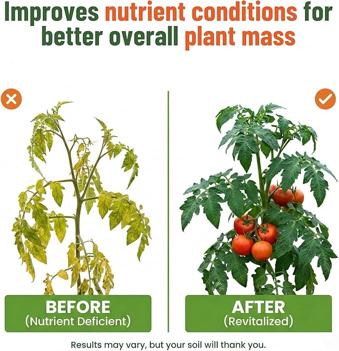Organic Kelp Fertilizer by GS Plant Foods - Omri Certified (1 Quart) - Kelp Fertilizer for Gardens, Lawns & Soil