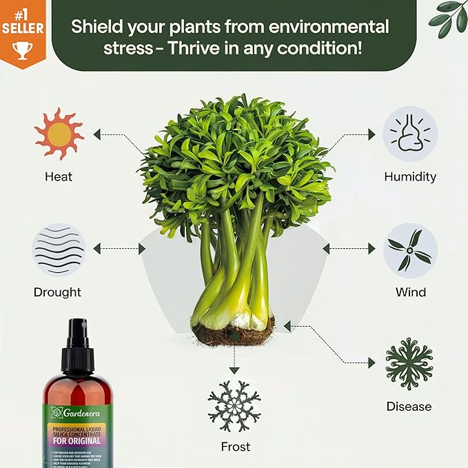 𝐒𝐔𝐏𝐄𝐑𝐈𝐎𝐑 Liquid Silica Boost Fertilizer and Supplement Spray for Passion Fruit Plants – Pre-Mixed, Ready-to-Use Liquid Silicon Plant Superfood Mist for Indoor & Outdoor Plants – 8oz