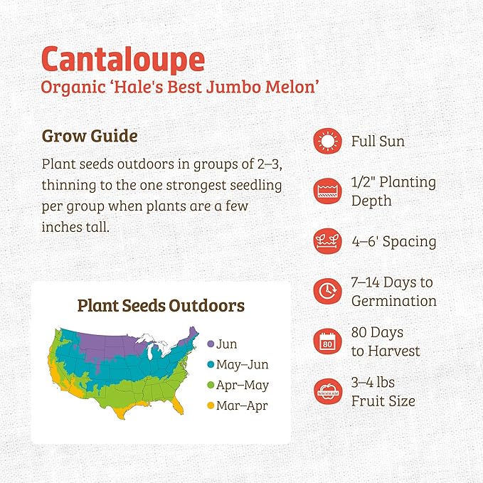 Back to The Roots 100% Organic Heirloom Seeds - Cantaloupe Melon Value Pack (2.4g Total)