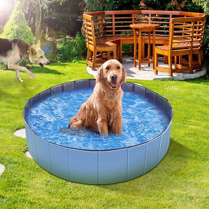 Foldable Pet Swimming Pool - Large 63" PVC Kiddie Dog Pool Bathing Tub for Dogs Cats Kids Portable Summer Outdoor Water Playmat Non-Slip Bottom Easy Drain (Blue)