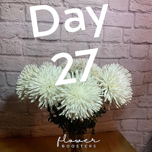 Flower Boosters Fresh Cut Flower Food – Longer-Lasting Blooms & Extended Vase Life – Flowers Last Up to 20 Days – 12.5 oz Value Size