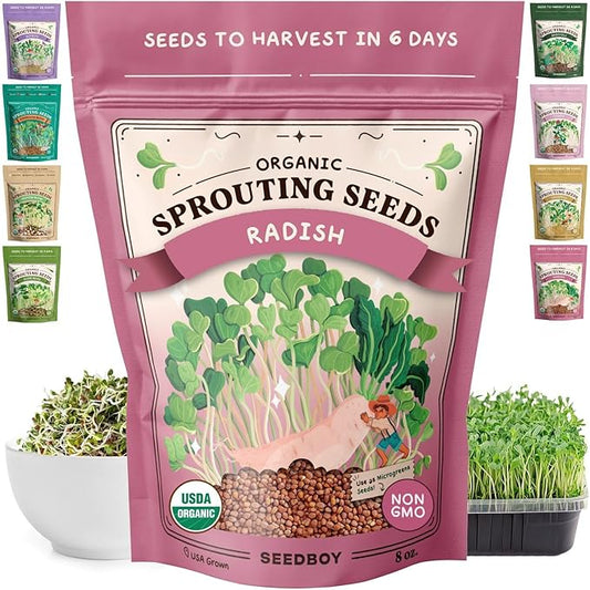 Seedboy Organic Non-GMO Radish Seeds for Sprouting - USA Grown Microgreens Sprouting Seeds - 8 oz Bag Makes 8 Quarts / 24 Servings (Daikon Radish)