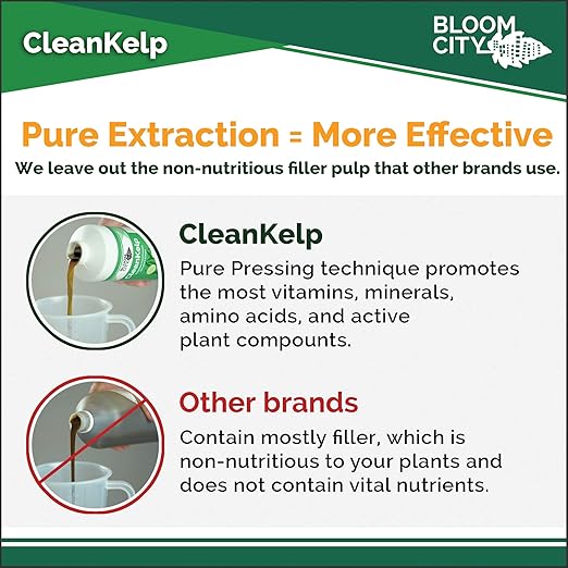 Organic Liquid Seaweed and Kelp Fertilizer Supplement by Bloom City, (8 oz) Concentrated Makes 45 Gallons
