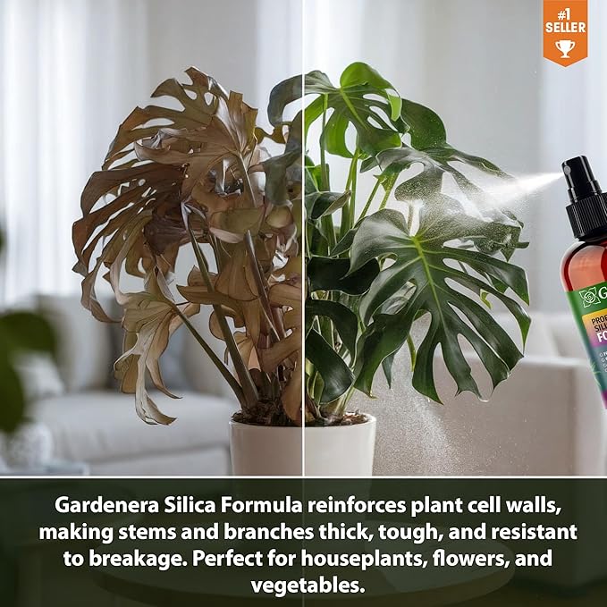 𝐒𝐔𝐏𝐄𝐑𝐈𝐎𝐑 Liquid Silica Boost Fertilizer and Supplement Spray for Passion Fruit Plants – Pre-Mixed, Ready-to-Use Liquid Silicon Plant Superfood Mist for Indoor & Outdoor Plants – 8oz