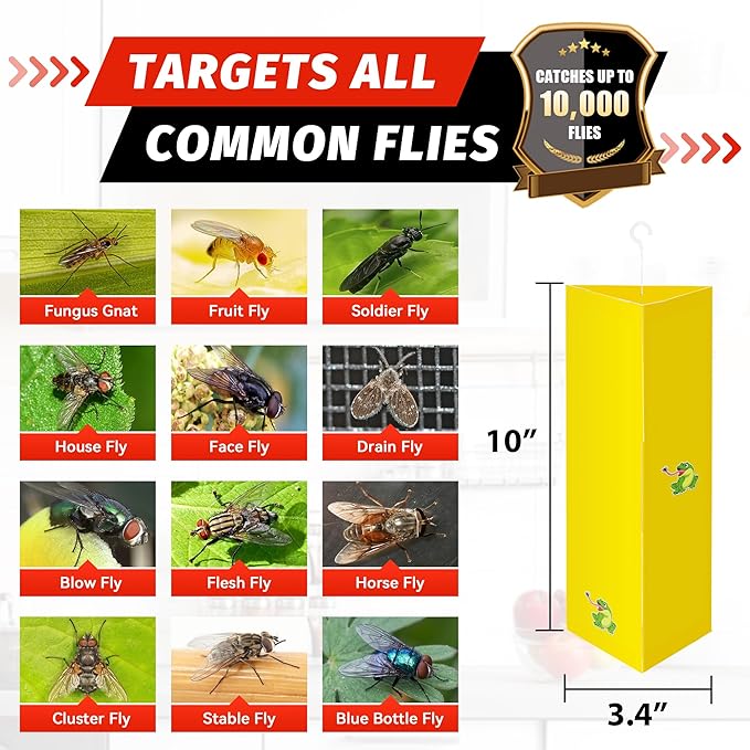 LULUCATCH Sticky Fly Traps, 10 Pack Fly Catcher Fungus Gnat Traps, Hanging Yellow Sticky Traps for Flying Insect Fruit Fly, Non Toxic Odorless Bug Catcher, Pet Safe Pest Control