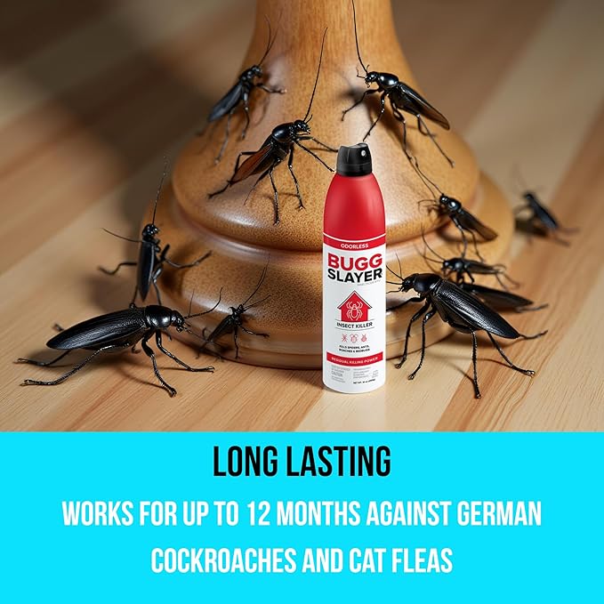 BUGGSLAYER Insecticide RTU Aerosol - Indoor Insect Killer - Spiders, Ants, Roaches, Bed Bugs & More - Odorless, Non-staining - 10 oz Spray Can