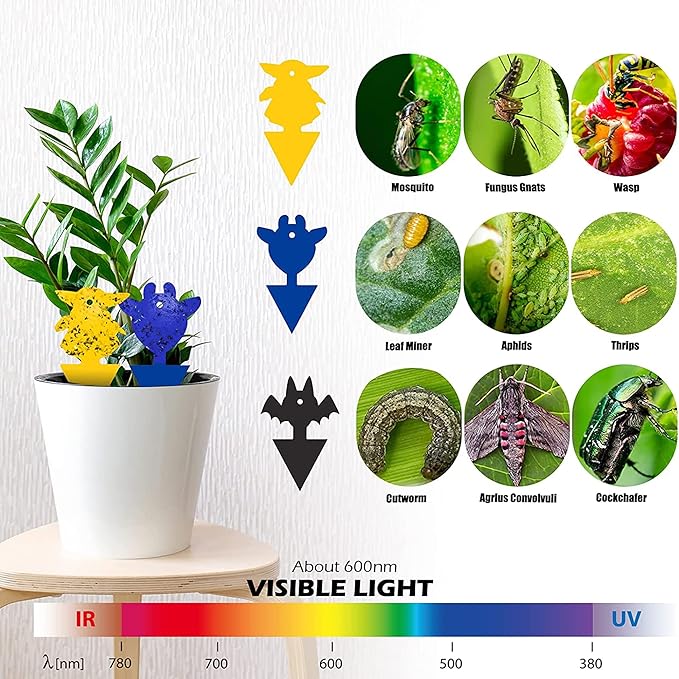 30 Pcs Fruit Fly Traps for Indoors, Fungus Gnat Sticky Traps for Plants, Mosquito Insect Kille Traps for Fruit Flies, Thrips, Aphids, Moths, Whiteflies, 3 Color Phototaxis for Caught Multi Bugs