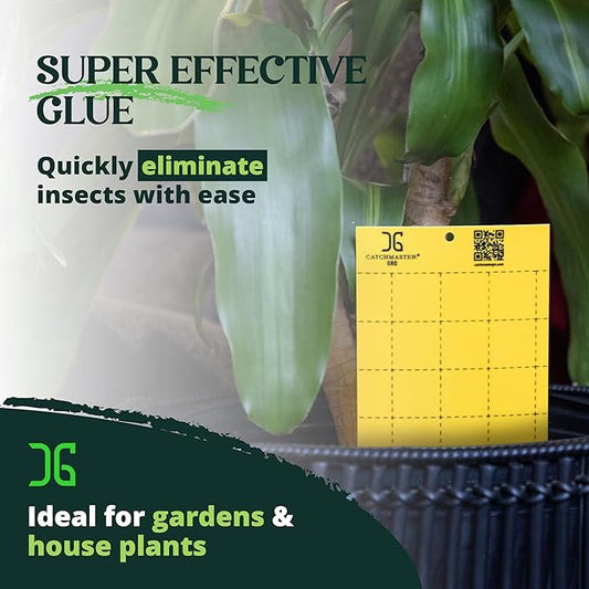 Catchmaster GRO Yellow Large Double Sided Sticky Traps 50PK, Adhesive Bug & Fruit Fly Trap, Pest Control for Home, Farm, Garden, Hydroponics & Greenhouse, Protect Live Plants Indoor & Outdoor