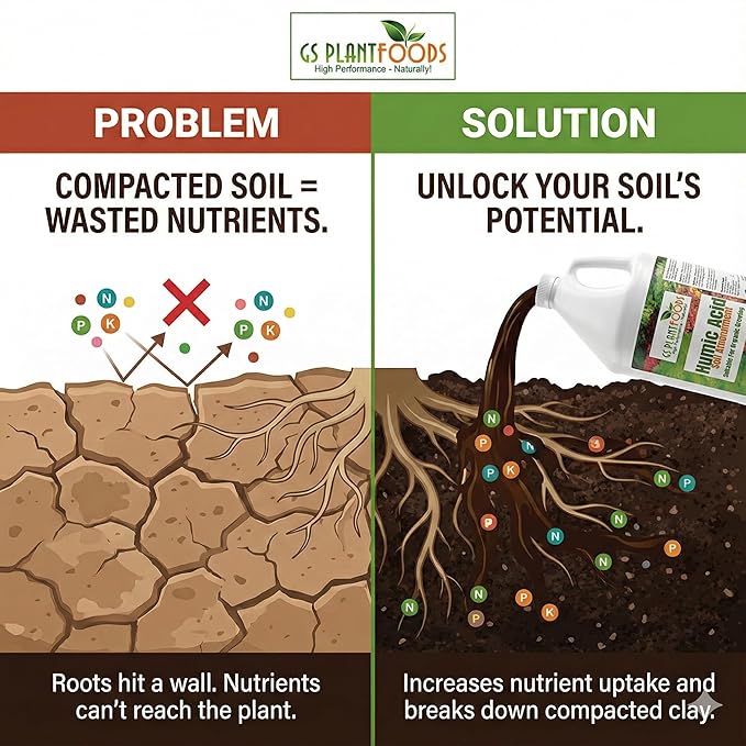 GS Plant Foods Humic Acid Soil Amendment – Leonardite-Derived Liquid Concentrate for Improved Soil Structure & Nutrient Availability – OMRI Listed for Organic Use – 275 Gallons