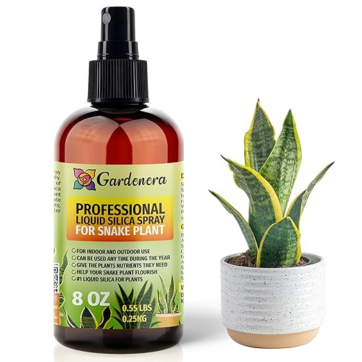 𝐒𝐔𝐏𝐄𝐑𝐈𝐎𝐑 Liquid Silica Boost Fertilizer and Supplement Spray for Snake Plants – Pre-Mixed, Ready-to-Use Liquid Silicon Plant Superfood Mist for Indoor & Outdoor Plants – 8oz