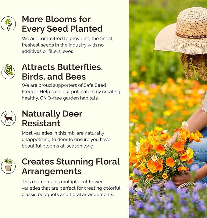 Eden Brothers Wyoming Wildflower Mixed Seeds for Planting, 1 lb, 480,000+ Seeds with Cornflower, Yarrow | Attracts Pollinators, Plant in Spring or Fall, Zones
