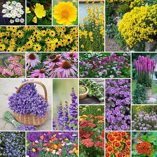 Eden Brothers Perennial Pollinator Wildflower Mixed Seeds for Planting, 1 lb, 480,000+ Seeds with Blue Flax, Coneflower | Attracts Pollinators, Plant in Spring or Fall, Zones