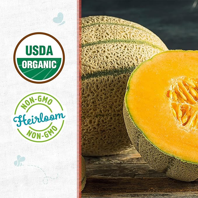 Back to The Roots 100% Organic Heirloom Seeds - Cantaloupe Melon Value Pack (2.4g Total)