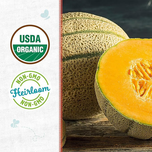 Back to The Roots 100% Organic Heirloom Seeds - Cantaloupe Melon Value Pack (2.4g Total)
