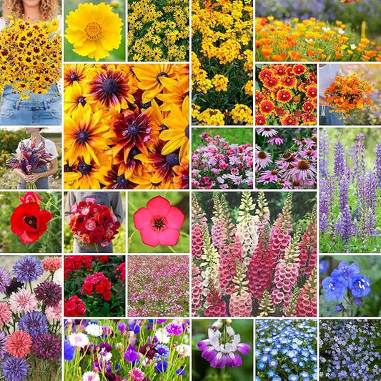 Eden Brothers Pacific Northwest Wildflower Mixed Seeds for Planting, 5 lb, 2,400,000+ Seeds with Cornflower, CA Bluebell | Attracts Pollinators, Plant in Spring or Fall, Zones 3, 4, 5, 6, 7, 8, 9, 10