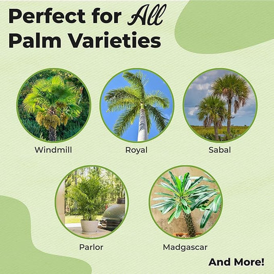 Liquid Palm Tree Fertilizer by Perfect Plants | Feed All Indoor or Outdoor Palms with Nutrient Dense Food | for Species Including Windmill, Sago, Ponytail, Majesty, & More | NPK 8-8-8 (1 Qt)