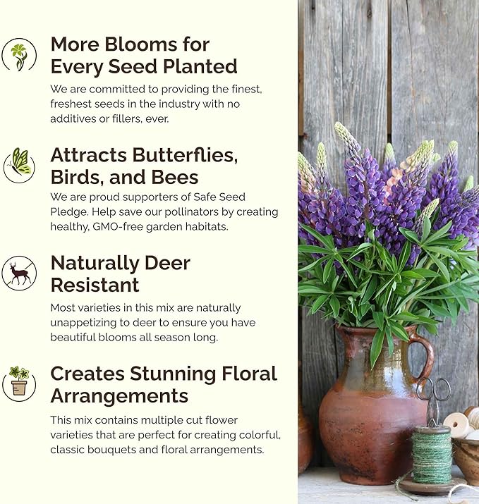 Eden Brothers Arkansas Wildflower Mixed Seeds for Planting, 1 lb, 480,000+ Seeds with African Daisy, Cosmos | Attracts Pollinators, Plant in Spring or Fall, Zones