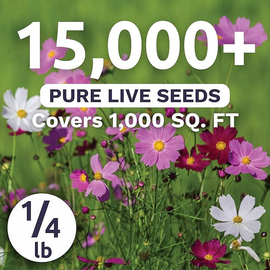 Cosmos Sensation Mix - Bulk 1/4 Pound Pouch - 15,000 Flower Seeds for Planting - Cosmos bipinnatus