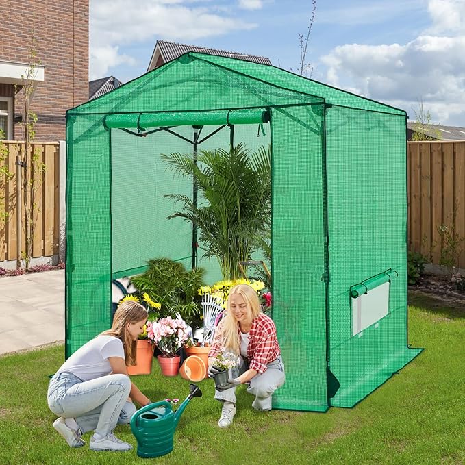 6x6 Pop Up Walk-in Greenhouse, Indoor & Outdoor PE Cover Green House with Power Access Ports, Roll-up Zippered Doors and Windows, Green