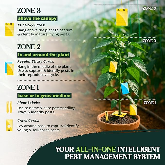 Catchmaster GRO Yellow Regular Double Sided Sticky Traps 36PK, Adhesive Bug & Fruit Fly Trap, Pest Control for Home, Farm, Garden, Hydroponics & Greenhouse, Protect Live Plants Indoor & Outdoor