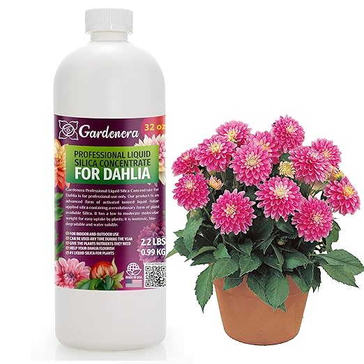 𝐏𝐑𝐎𝐅𝐄𝐒𝐒𝐈𝐎𝐍𝐀𝐋 Liquid Silica Plant Supplement - 32oz - Dahlia Plants Liquid Silica Boost Fertilizer - Stronger Stems & Healthy Leaves for Indoor & Outdoor Dahlias (Makes 180 Gallons)