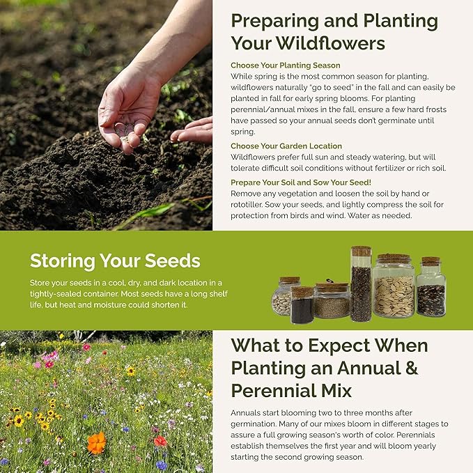 Eden Brothers New Jersey Wildflower Mixed Seeds for Planting, 5 lbs, 2,400,000+ Seeds with Cornflower, Coneflower | Attracts Pollinators, Plant in Spring or Fall, Zones