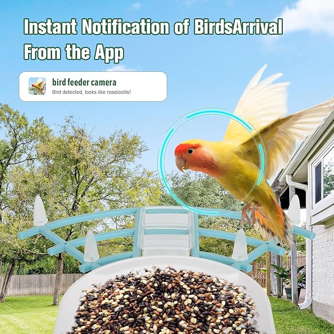 HUEVUE Bird Feeder with Camera, AI Identify Birds Species Solar Powered, Auto Record Videos in Backyard, Instant Notifications, Ideal Gift for Family and Bird Lovers